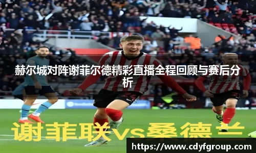 赫尔城对阵谢菲尔德精彩直播全程回顾与赛后分析