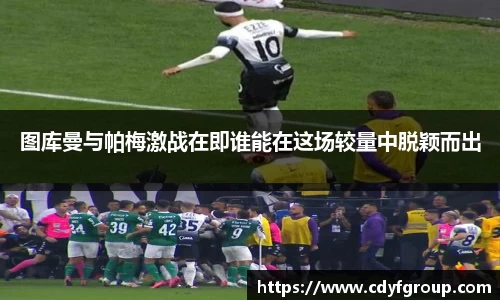 图库曼与帕梅激战在即谁能在这场较量中脱颖而出